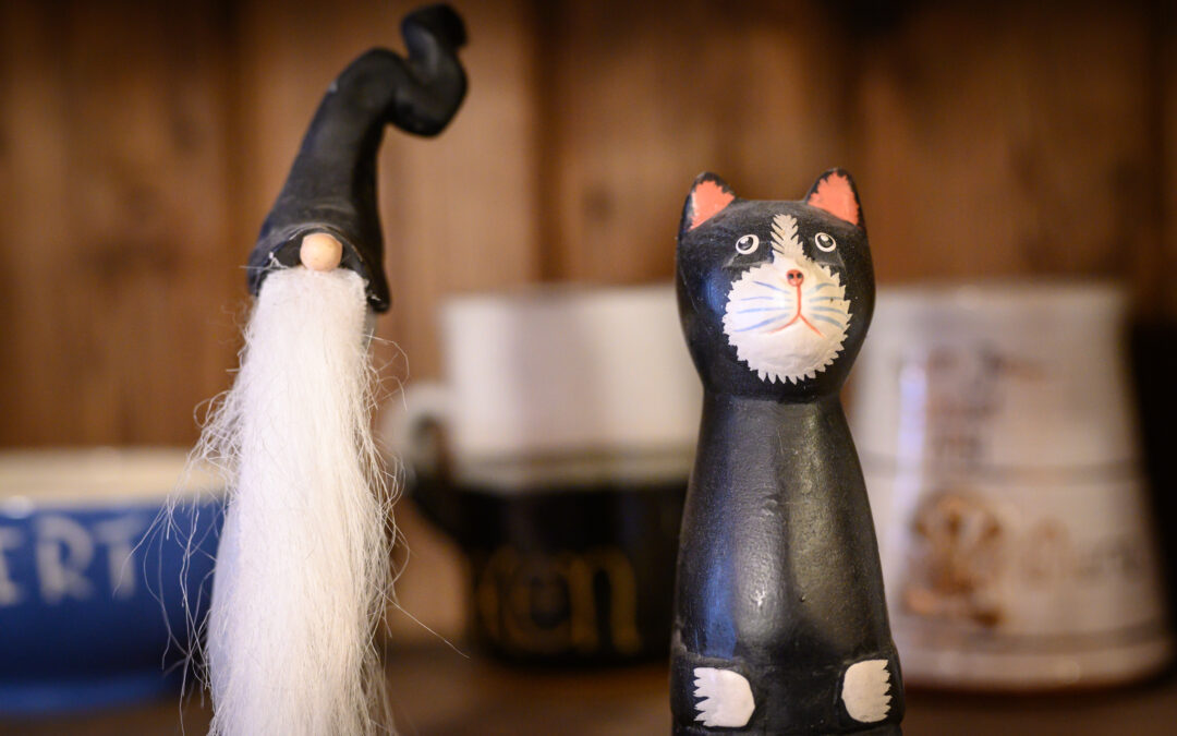 cat and wizard figures